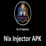 Nix Injector